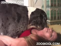 Dark brown, precious beastiality For a dog, the novice slips her trousers aside.